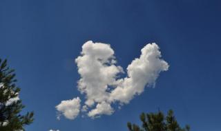 brokenheart brokenheart