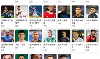 2002年世界杯阿根廷队的球员号码名单 阿根廷队员名单